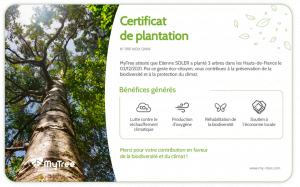 Certificat de plantation BOA Mobilier