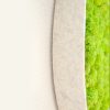 Acoustique végétale Belt
