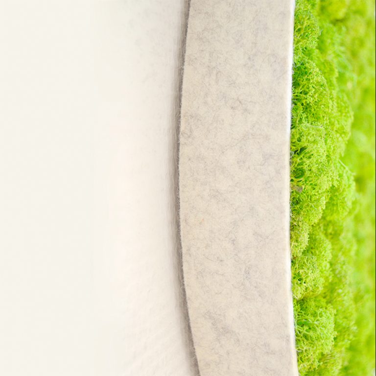 Acoustique végétale Belt